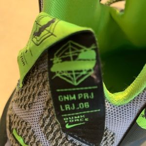 LeBron James Dunk Shoes